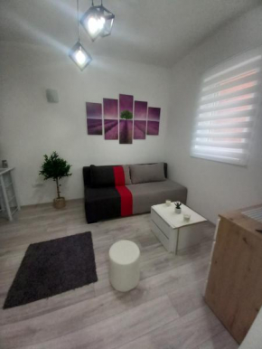 Apartment Capital Town Novi Sad